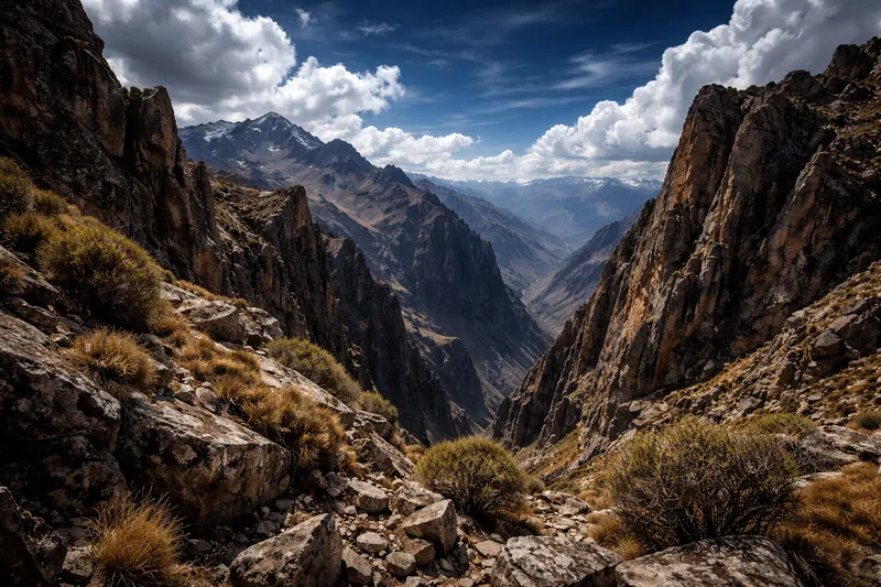 Hábitat de Cóndor Andino