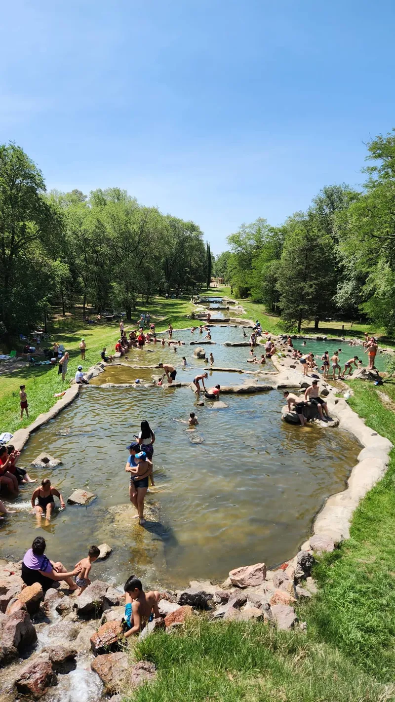 Términos y Condiciones