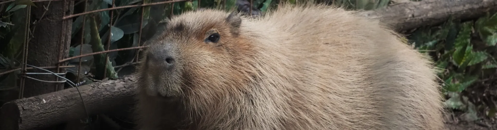 Sé socio e ingresá al ECO por $7.000