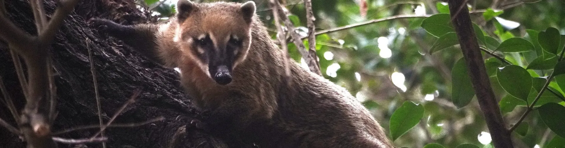 Estamos para Ayudarte