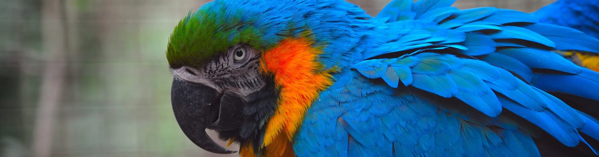 Aprendiendo a Cuidar Nuestro Planeta