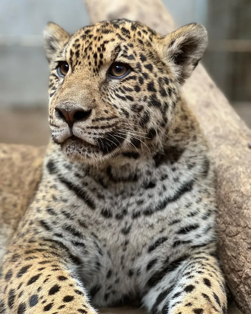 Sé socio e ingresá al ECO por $7.000