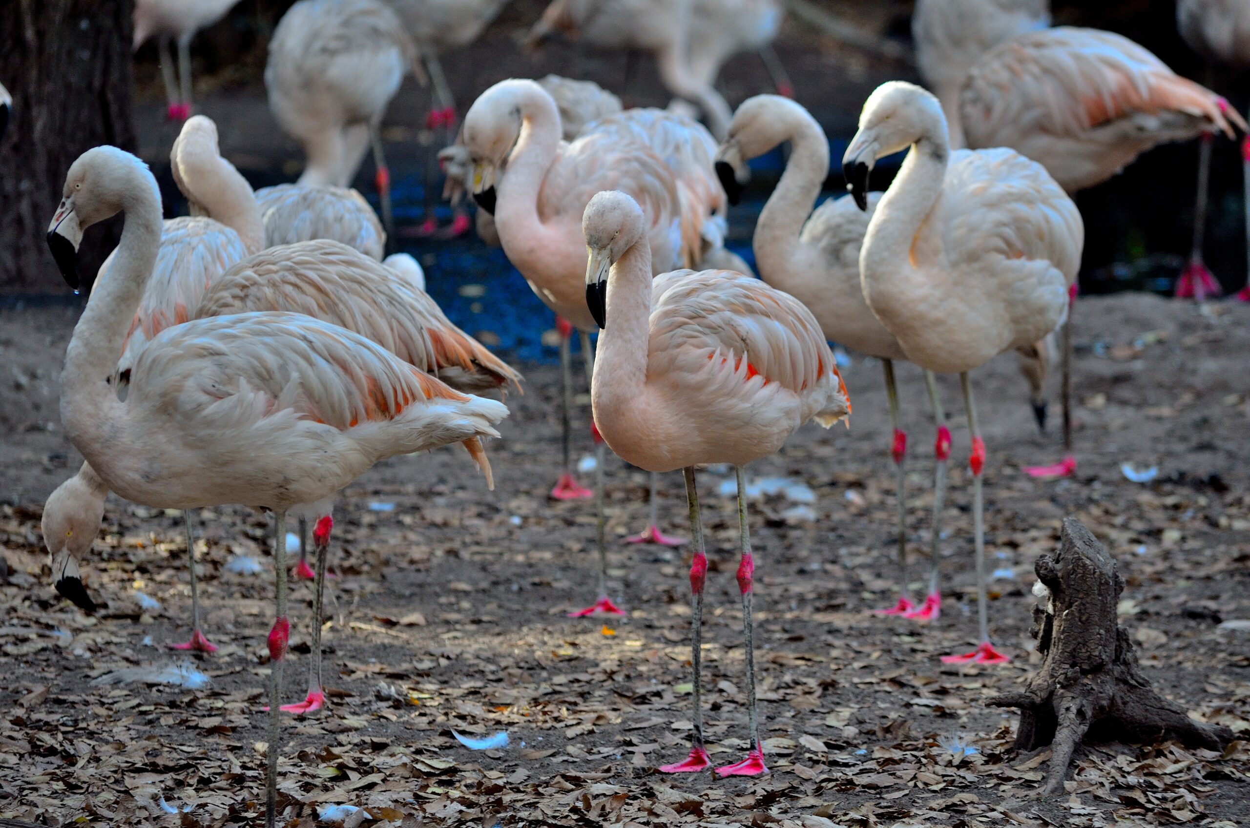 Tu Aventura Comienza Aquí